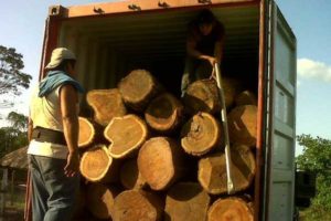 Madera en Rollo