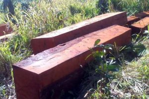 Madera en Cuadros